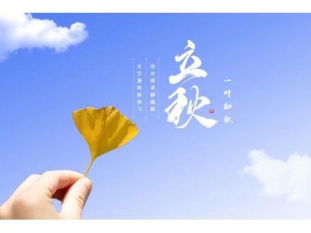 今日立秋：人間朝暮，葉落驚秋